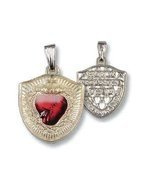 Medalik Tarcza Najświętszego Serca Pana Jezusa