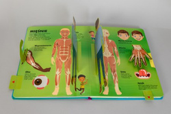 Człowiek od stóp do głów. Książka z ruchomymi elementami