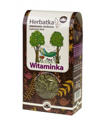 HERBATKA WITAMINKA - SUPLEMENT DIETY - 100g